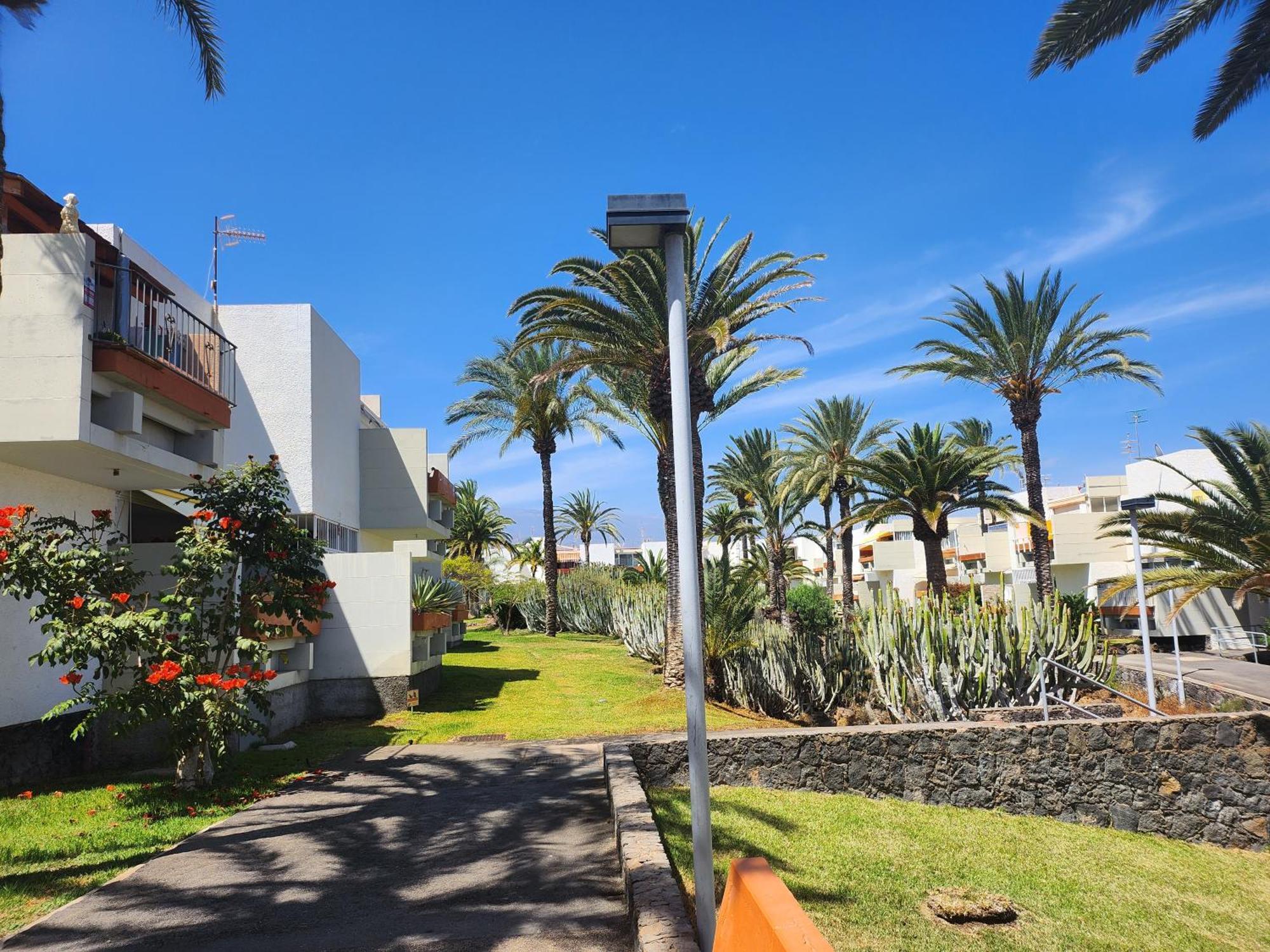 Tenerife Sunshine South By La Ballena Apartment