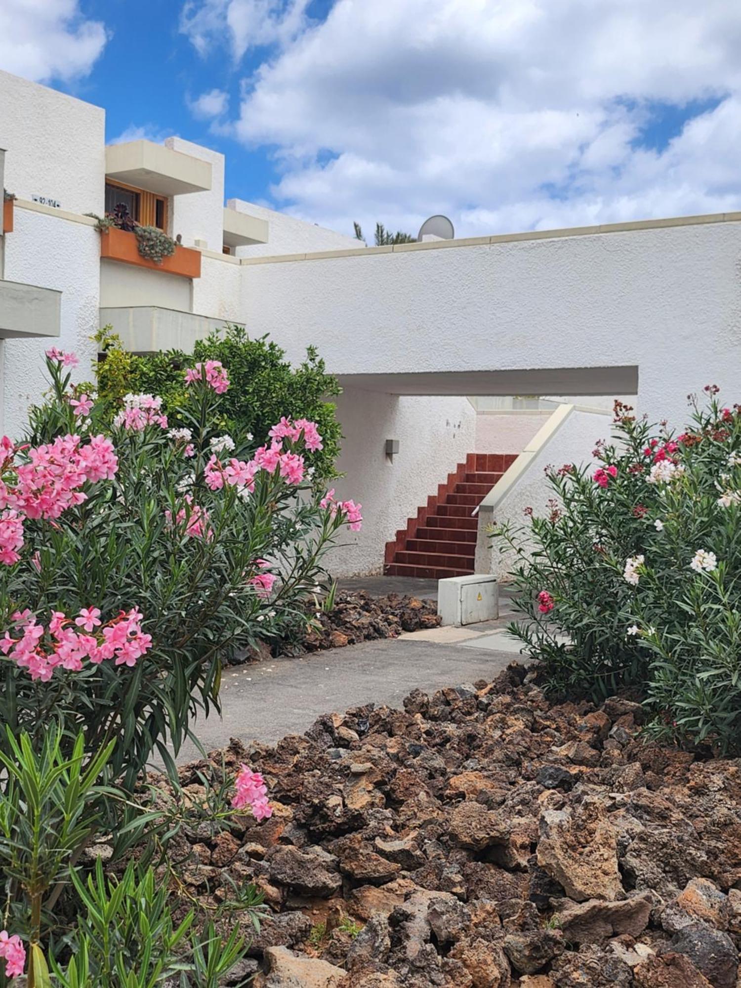 Apartment Tenerife Sunshine South By La Ballena *